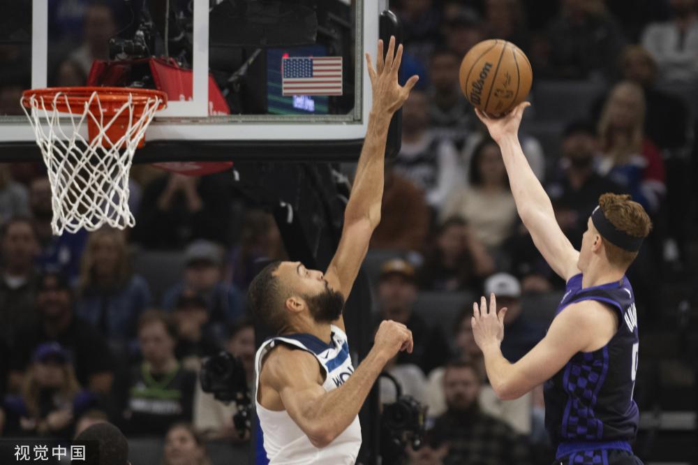 卡塔尔的杜 卡塔尔的杜